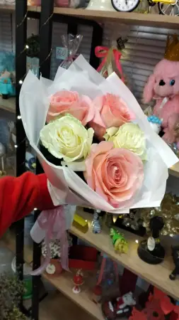 Неженка